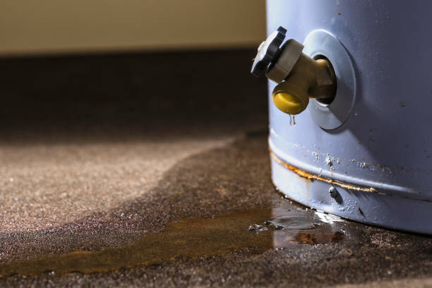  Cave Creek, AZ Water damage restoration Pros