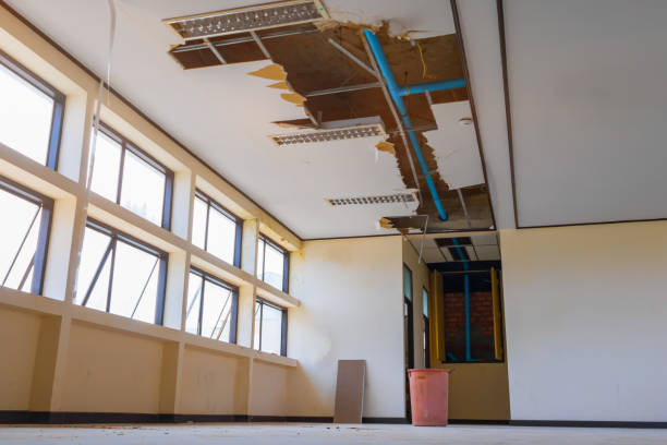 Best Water damage restoration specialists  in Cave Creek, AZ
