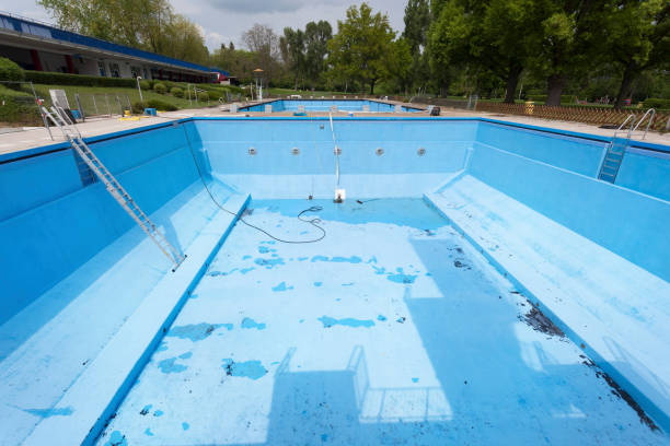 Best Mold removal after water damage  in Cave Creek, AZ