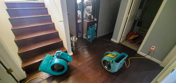 Best Basement water damage restoration  in Cave Creek, AZ
