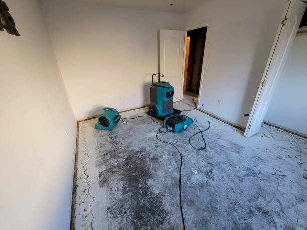 Best Flooded house restoration  in Cave Creek, AZ