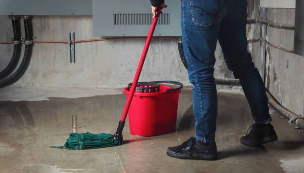 Carpet water damage restoration in AZ
