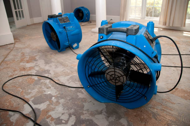 Best Water damage contractors near me  in Cave Creek, AZ