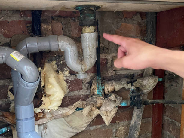 Best Professional water damage repair  in Cave Creek, AZ