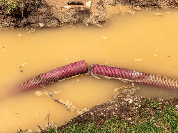 Best Water damage restoration near me  in Cave Creek, AZ