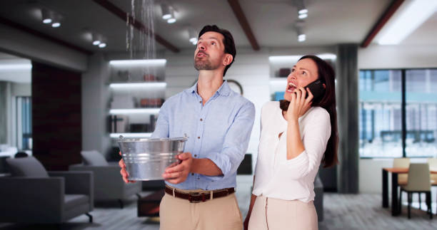 Best Water damage restoration near me  in Cave Creek, AZ